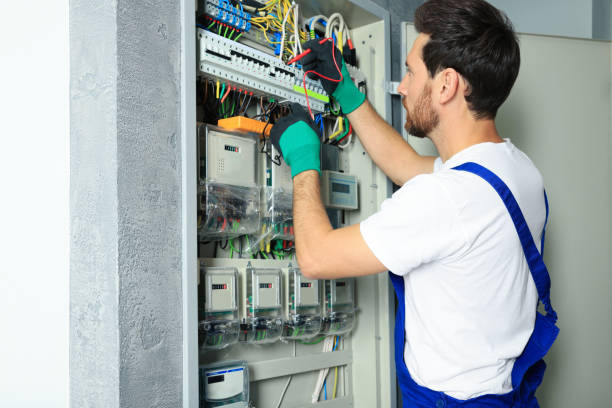 Best Electric Panel Repair  in Winnsboro, TX